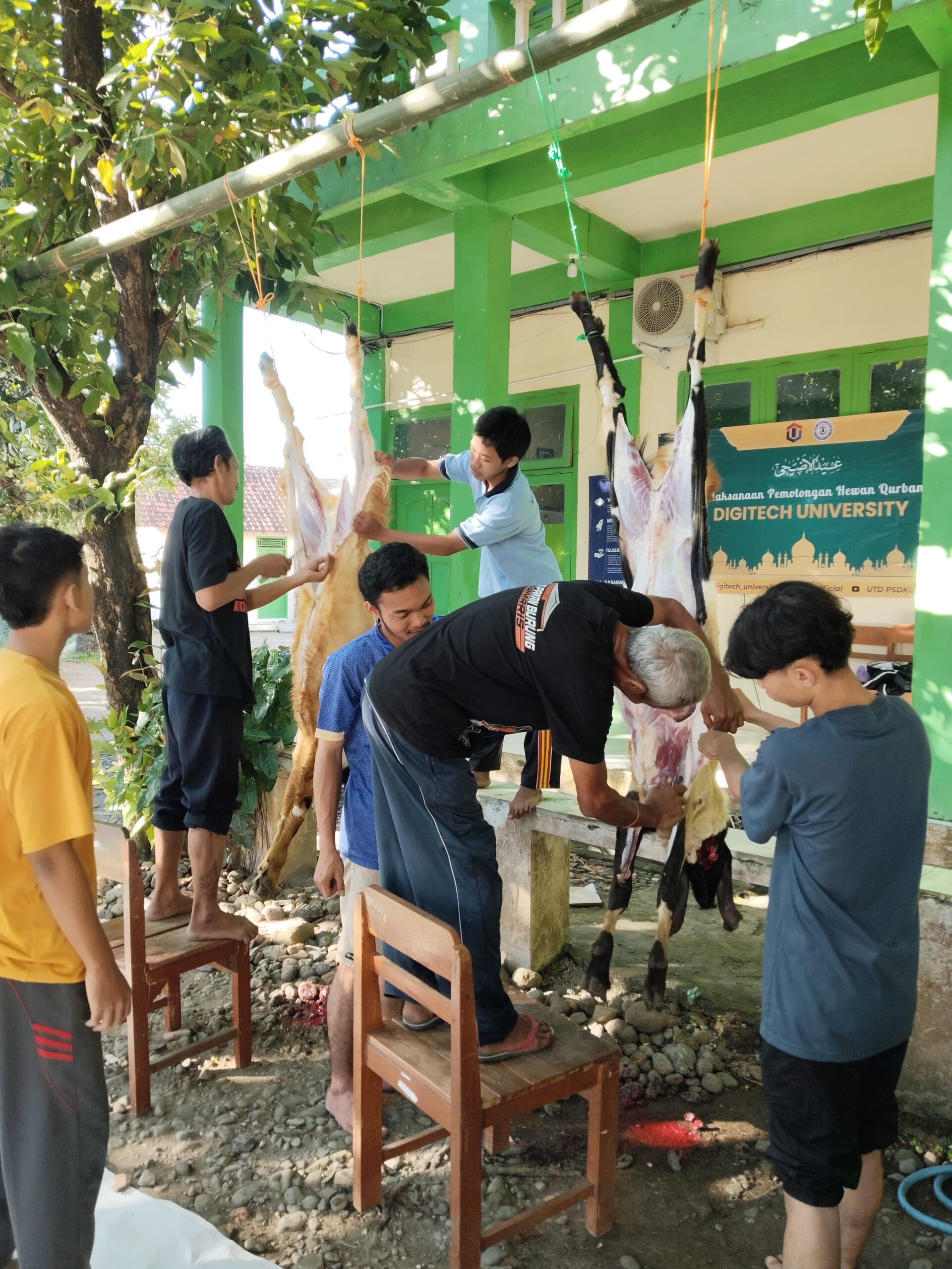 UTD PSDKU Tegal Gelar Pemotongan Hewan Qurban: Wujud Kepedulian dan Kebersamaan di Hari Raya Idul Adha 1446 H UTD PSDKU Tegal Gelar Pemotongan Hewan Qurban: Wujud Kepedulian dan Kebersamaan di Hari Raya Idul Adha 1446 H