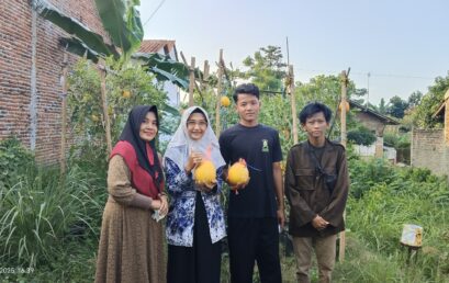 Yusril Mahasiswa KIP Kuliah Universitas Teknologi Digital Meningkatkan Keterampilan Berwirausaha Dengan Berkebun