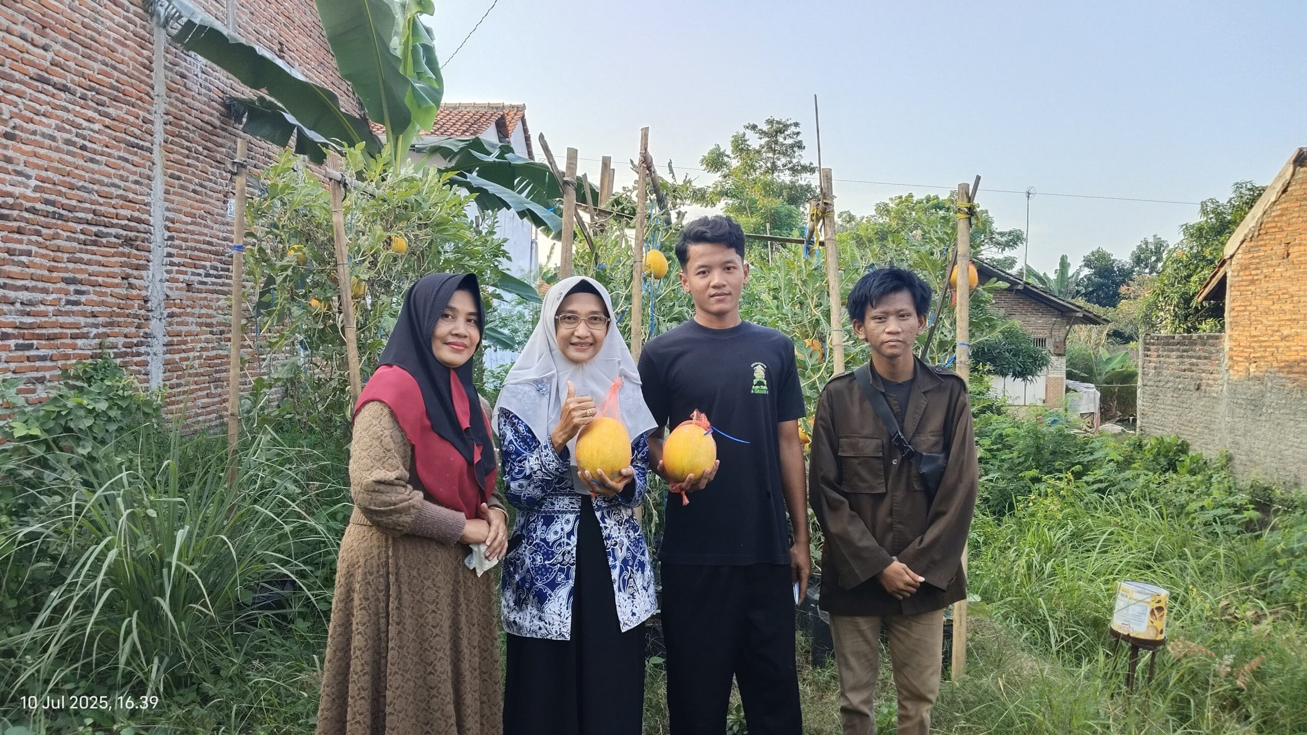 Yusril Mahasiswa KIP Kuliah Universitas Teknologi Digital Meningkatkan Keterampilan Berwirausaha Dengan Berkebun Yusril Mahasiswa KIP Kuliah Universitas Teknologi Digital Meningkatkan Keterampilan Berwirausaha Dengan Berkebun
